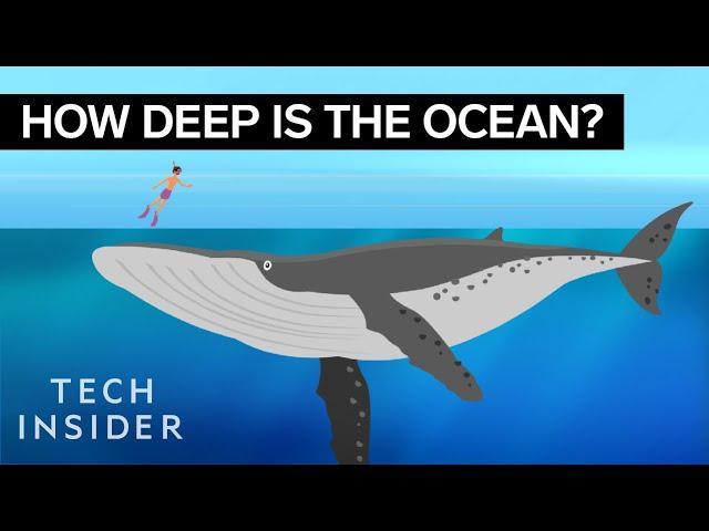 This Incredible Animation Shows How Deep The Ocean Really Is