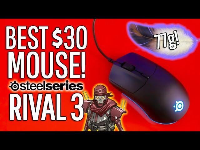 SteelSeries Rival 3 Review! The BEST Mouse Under $30!