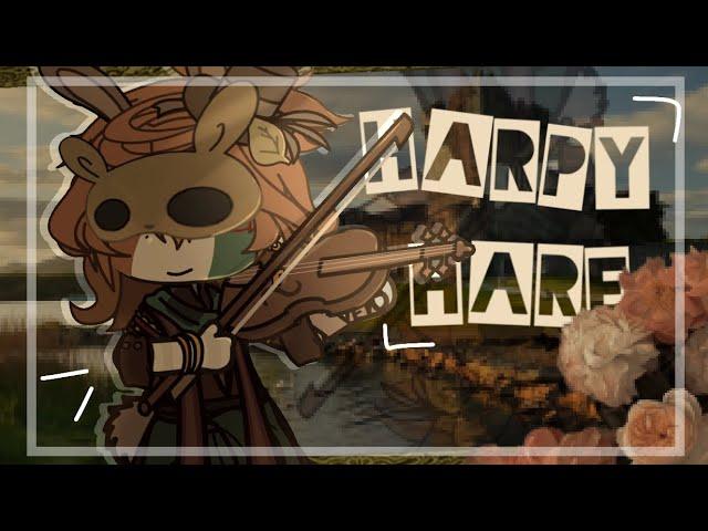  𖥻 [ HARPY HARE ] :  Countryhumans | ireland