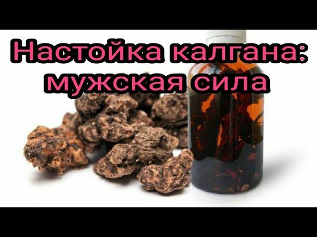 Kalgan tincture, male power, Carpathian recipe. Painkillers. Restorative. folk remedies