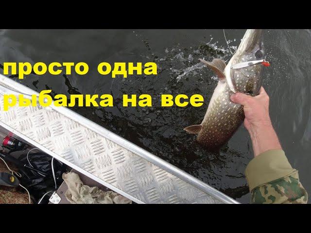 Просто одна рыбалка на все