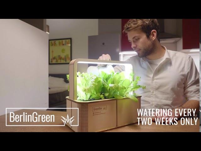 Berlin GreenBox   Automated Indoor Plantation Unit