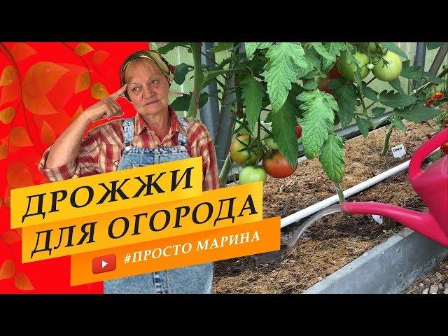 Дрожжевая подкормка для...