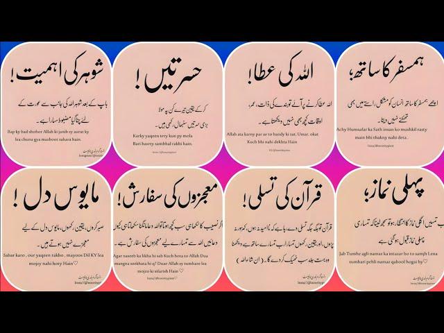 Best Islamic quotes for WhatsApp status | Islamic dp