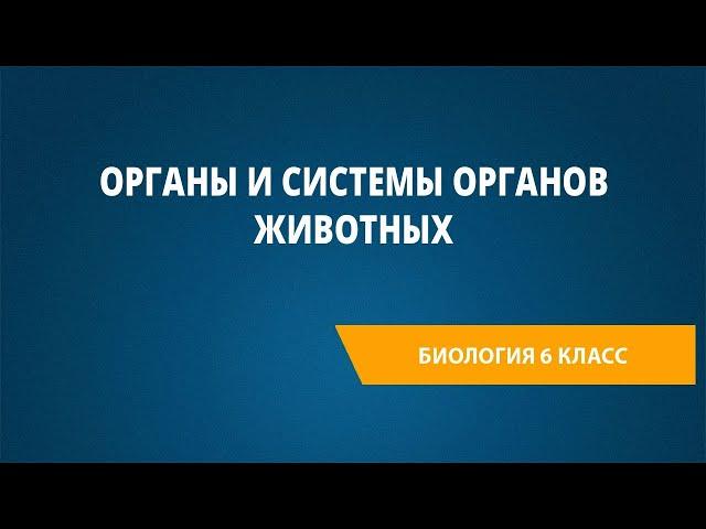 Органы и системы органов животных