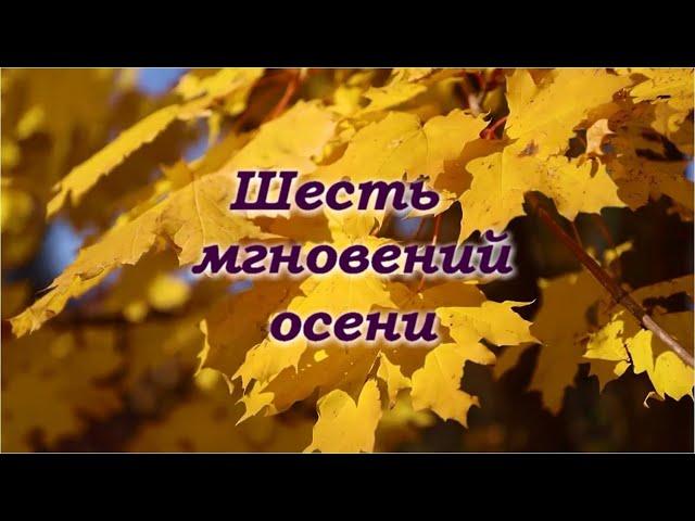 Шесть мгновений осени