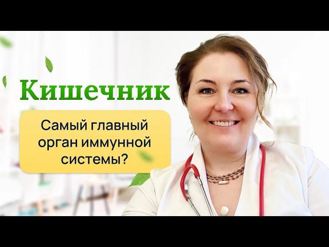 Кишечник-главный орган иммунной системы? Отвечает врач-иммунолог,кмн Ольга Брум.