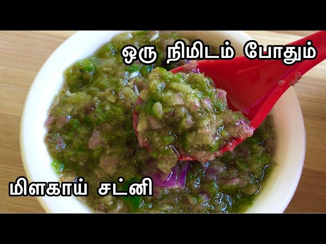 One Minute Chutney Recipe | மிளகாய் சட்னி | Instant Chutney Recipe | Green Chilli Chutney Recipe |