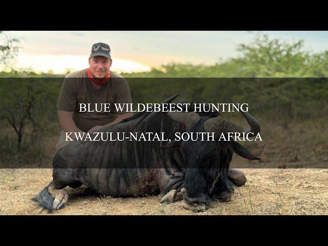 Blue Wildebeest Hunting with Safari Quest Outfitters