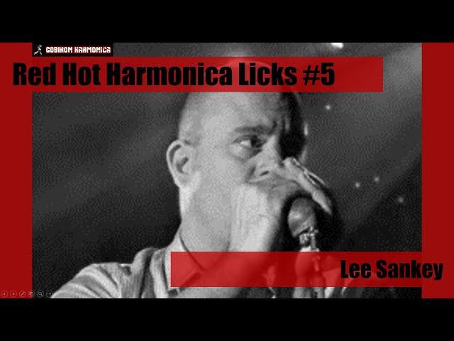 Blues Harmonica Lesson - Red Hot Harmonica Licks #5 - Lee Sankey