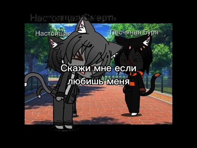 Скажи моё имя! Мем #Кэтвар #catwar