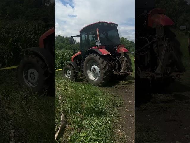 Сельская движуха