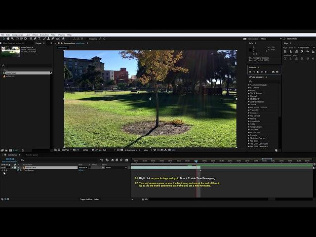 After Effects Tutorial: How to hold the last frame