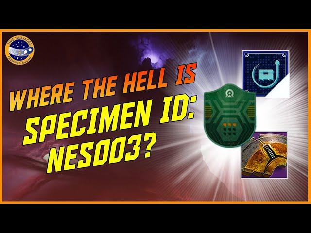 How To Get Specimen ID NES003 And Complete It Fast And Easy! Destiny 2 Echoes