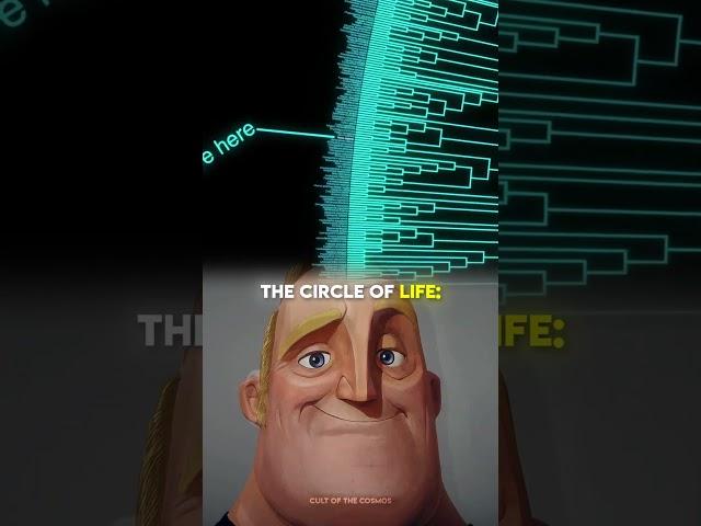 From LUCA to Humans | The Circle of Life
