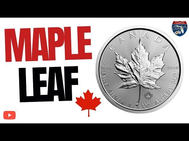 Why I Stack the Canadian Silver Maple Leaf Coin