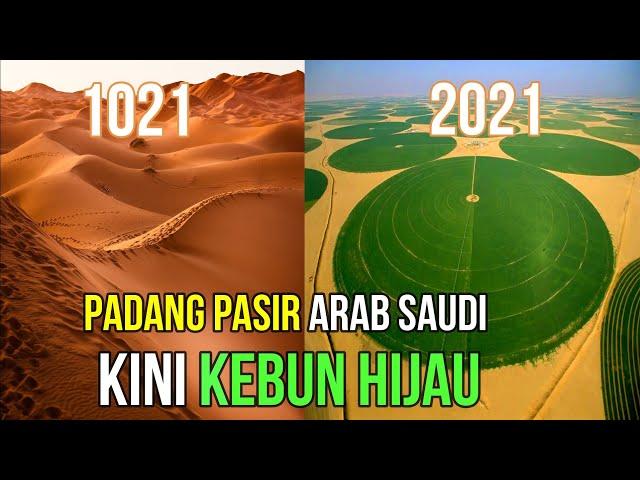 Bagaimana Arab Saudi Menukar Padang Pasir Menjadi Kebun Hijau ?