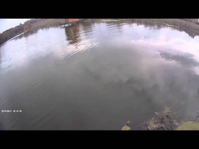Карп на микроджиг - 2