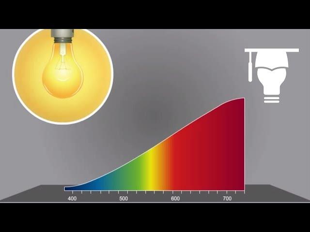 Color Temperature