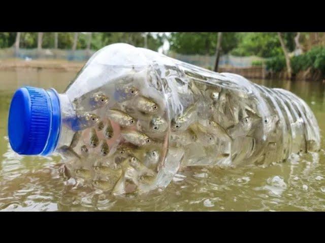 [ How To Make Bottle Fish Trap ] Boy Catch Fish With Plastic Bottle Fish Trap | Fishing Tube