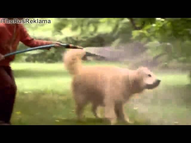 Реклама Спортмастер - К школе готовы (Усатый нянь)