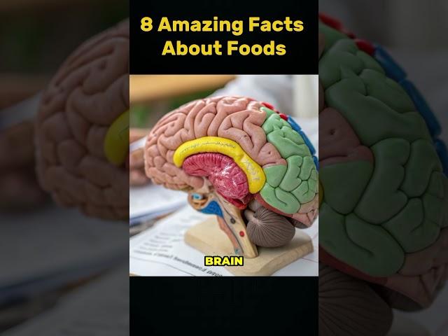 Surprising food facts you didn’t know _ Little-known facts about popular foods #food #facts #shorts