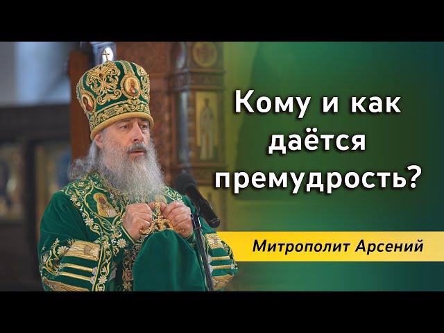 Проповедь митр. Арсения в день памяти прп. Сергия Радонежского 8.10.22 г.