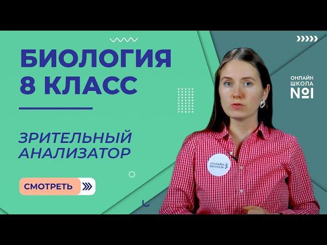 Анализаторы. Зрительный анализатор. Видеоурок 33. Биология 8 класс