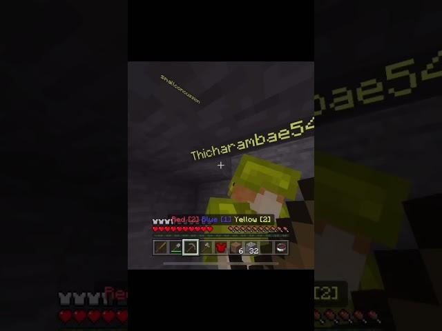 They fell STRAIGHT in!! (Minecraft trap)