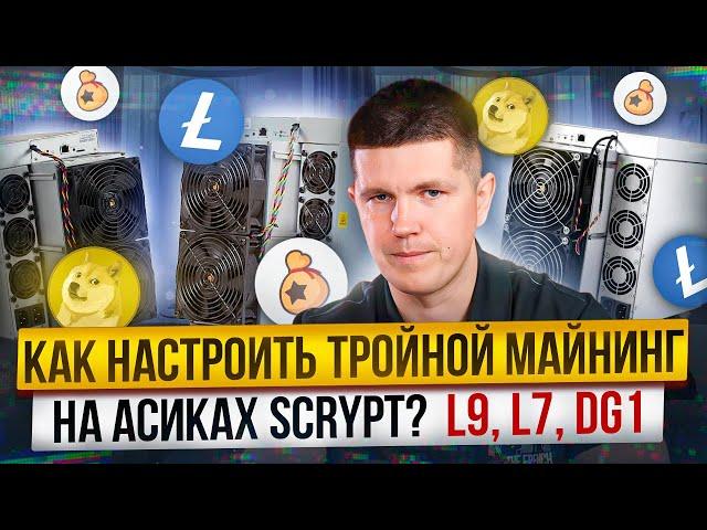 Как и где майнить Bellscoin (BEL) на алгоритме Scrypt? | Тройной майнинг, какой доход?