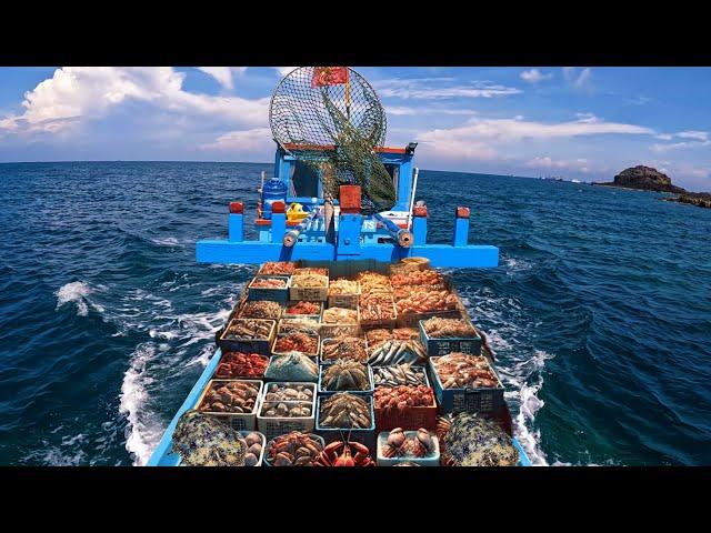 Lặn Biển Ở Độ Sâu 25 Mét - Bắt 100KG Cá Kình Sau 2 Giờ | diving for seafood in vietnam