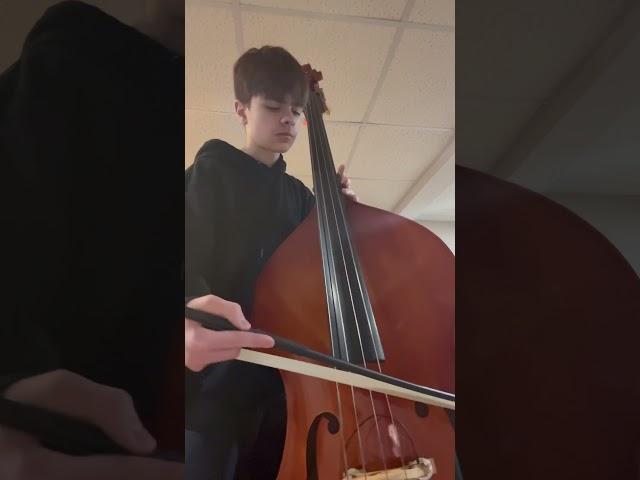 Yellow submarine on upright bass! #thebeatles #music #bass #fyp #shorts #basscover #doublebassist