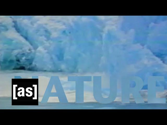 Nature | Off the Air | Adult Swim