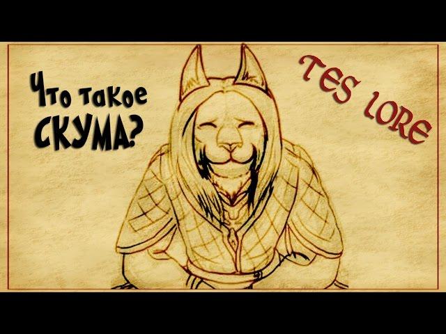 TES: Что такое скума?