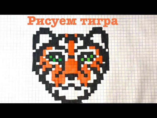 Как нарисовать тигра по клеточкам 