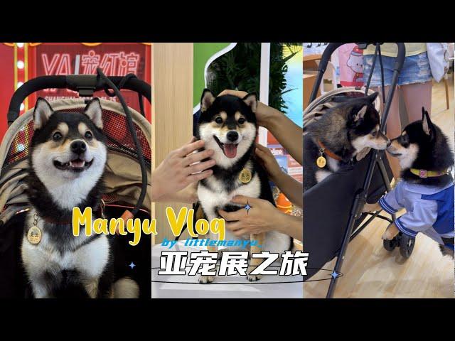 【Vlog】曼玉Manyu上海亚宠展之旅