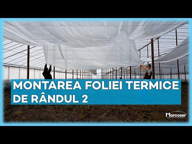 Montarea Foliei Termice de Rândul 2 în Solar | Ferma Marcoser