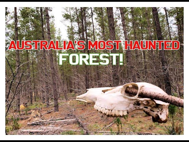 Australia's Most HAUNTED Forest. (Scary!)