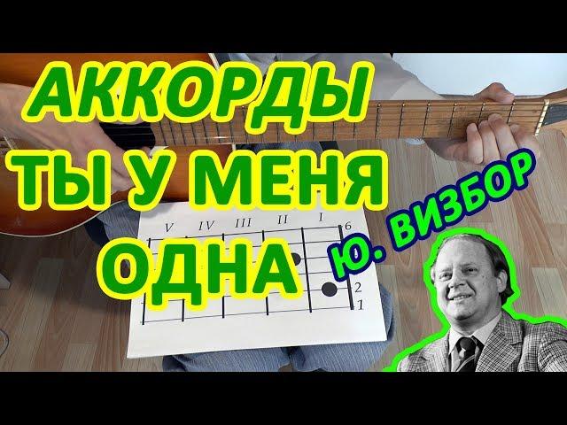 ВИЗБОР Аккорды  ТЫ У МЕНЯ ОДНА Разбор песни на гитаре Видео урок