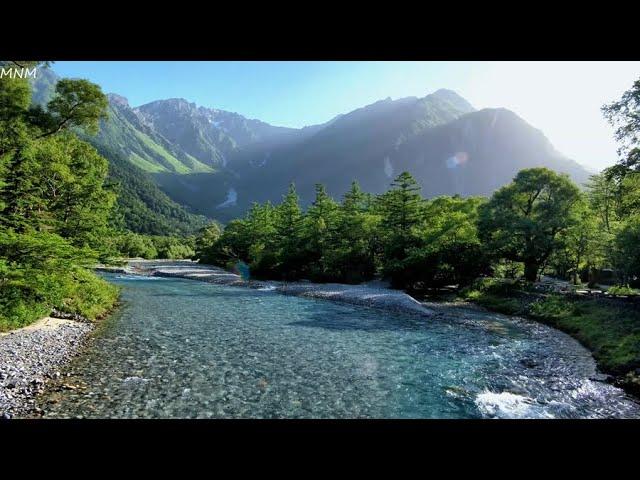 Beautiful Azusa River, Japan. Majestic Birdsong, Relaxing River Sound, ASMR