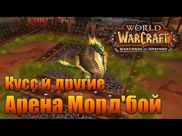 World of Warcraft. Арена Морд'бой.  Кусс и другие.