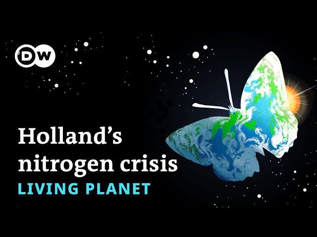 Holding on: Holland's farmers, California's salmon and Germany's Ahr valley - Living Planet