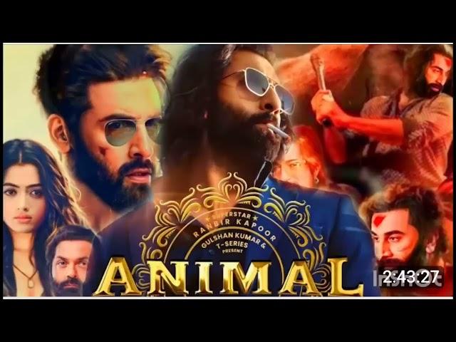 animal full movie online new movie,animal full movie ranbir kapoor, Bollywood #animal