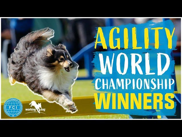 FCI Agility World Championship 2022 // Winners in Individual