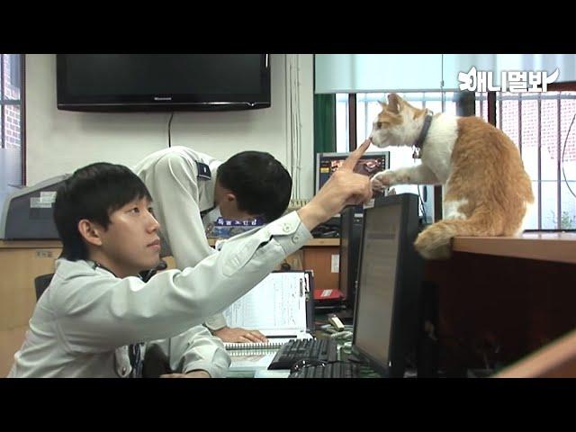 Mango the cat making itself comfortable at a police station