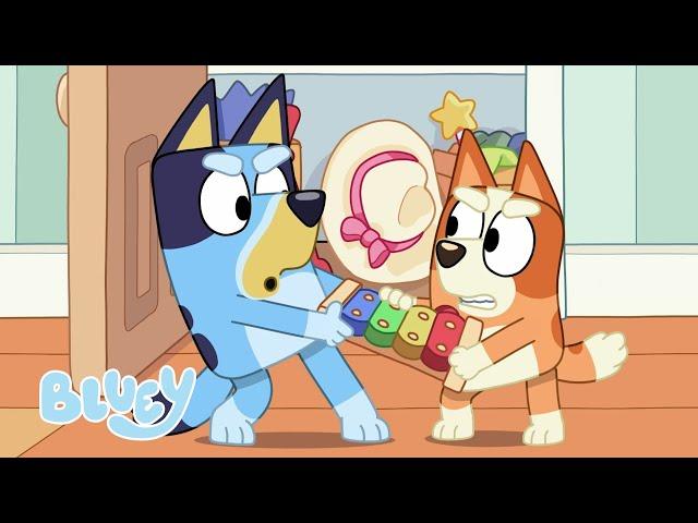 Bluey ve Bingo ile Heyecan Dolu Anlar   | Bluey Türkçe Resmi Kanal