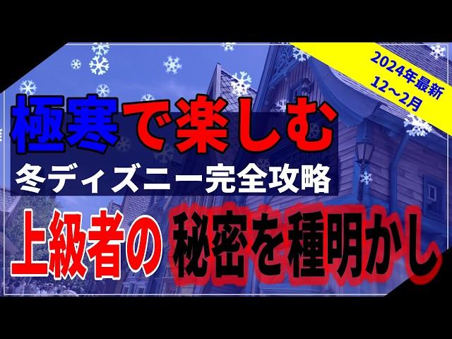 【これ１本で全てわかる】ディズニーの冬はどれだけ寒い？楽しむために必要な情報を全て解説します：2024年最新版