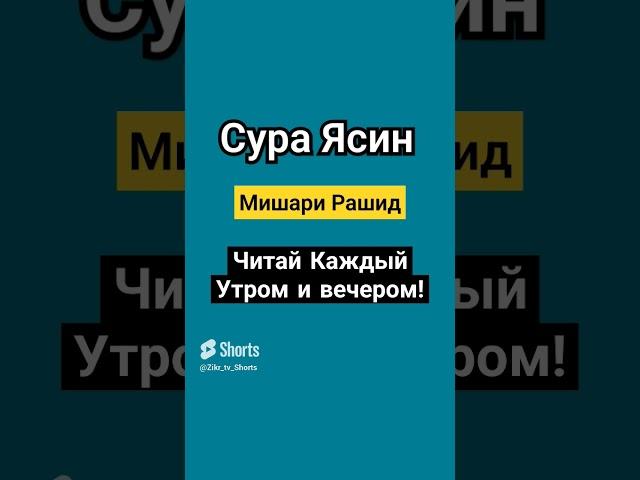 Сура Ясин  Мишари Рашид  Читайте каждое утро и вечером  #коран #чтениекорана #القرآن