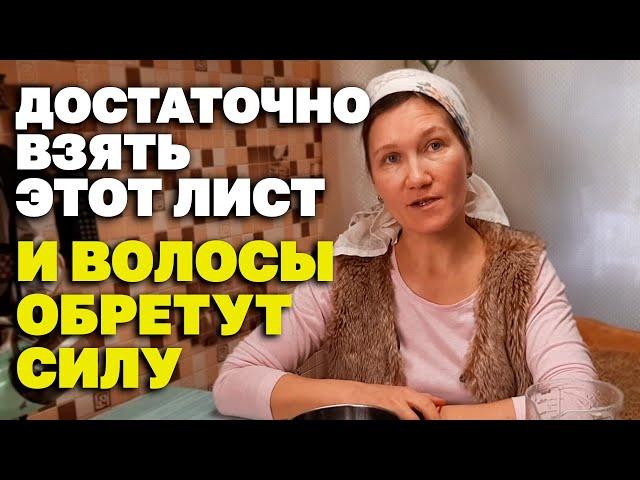 ЦЕЛЕБНЫЙ ОТВАР ДЛЯ ЗДОРОВЬЯ ВОЛОС ИЗБАВИТ ОТ ВЫПАДЕНИЯ УЛУЧШИТ РОСТ @natureMarusya