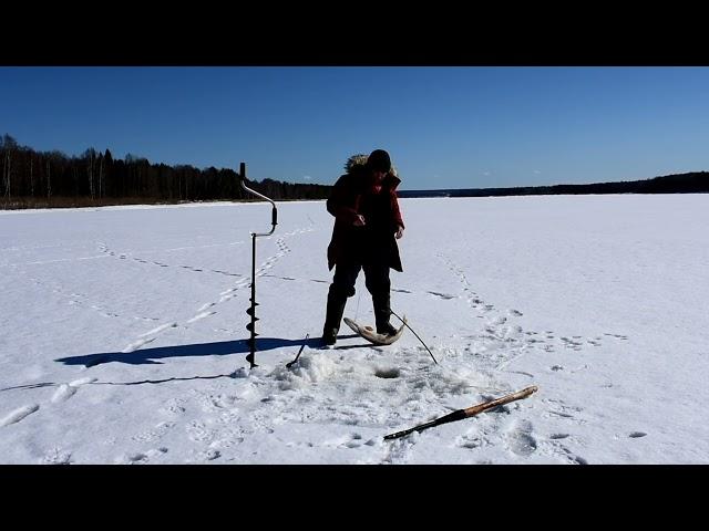 Вываживание крупной щуки.#pike #largepike #bigpike #pikehunting #щука #крупнаярыба #крупнаящука